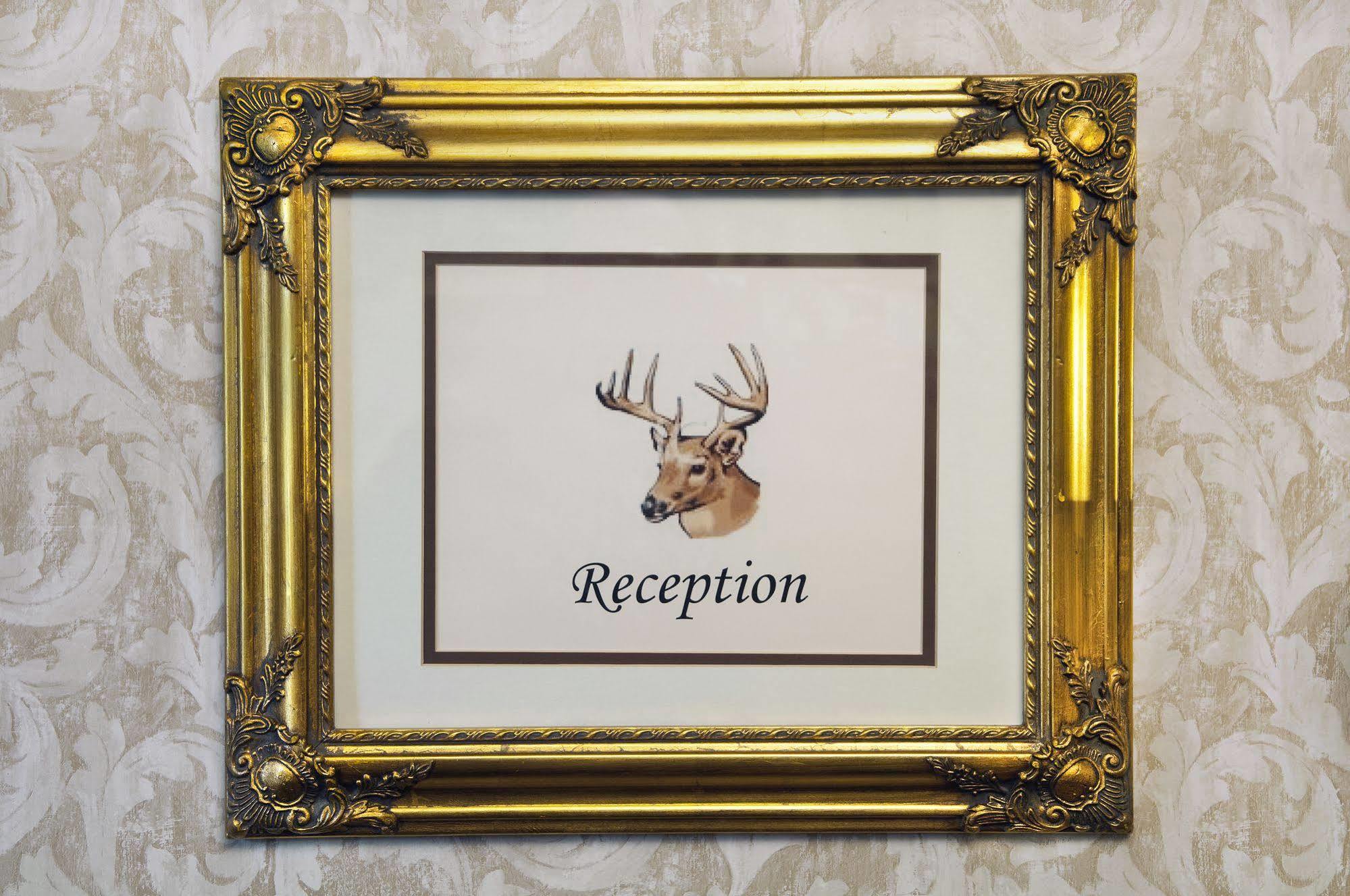 The Historic Elk Mountain Hotel Bagian luar foto